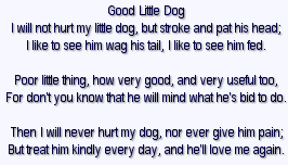 Dog Poem