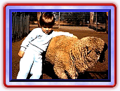 Leo & Sheep. Click for LARGER view