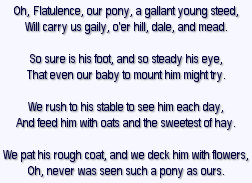 Pony Poem